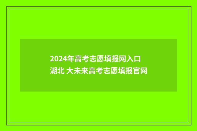 2024年高考志愿填报网入口湖北 大未来高考志愿填报官网