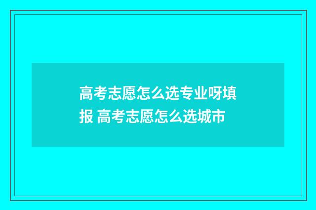 高考志愿怎么选专业呀填报 高考志愿怎么选城市
