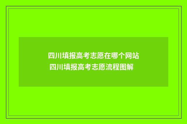 四川填报高考志愿在哪个网站 四川填报高考志愿流程图解