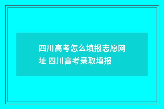 四川高考怎么填报志愿网址 四川高考录取填报