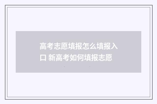 高考志愿填报怎么填报入口 新高考如何填报志愿