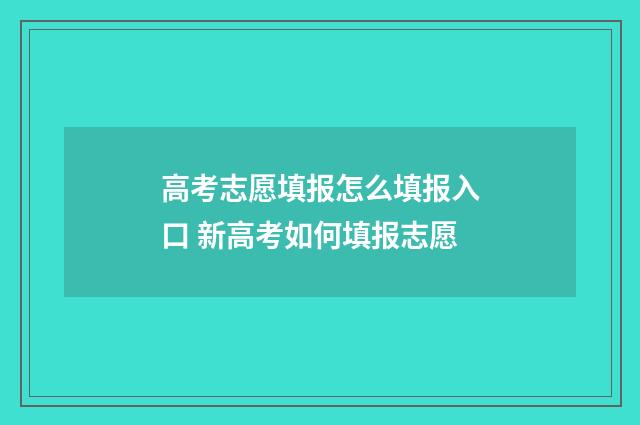 高考志愿填报怎么填报入口 新高考如何填报志愿