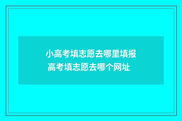 小高考填志愿去哪里填报 高考填志愿去哪个网址