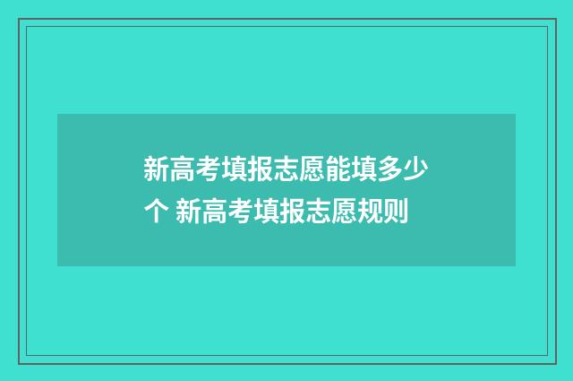 新高考填报志愿能填多少个 新高考填报志愿规则