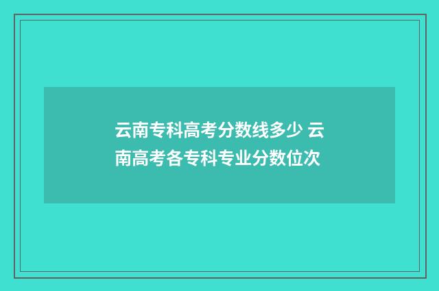 云南专科高考分数线多少 云南高考各专科专业分数位次