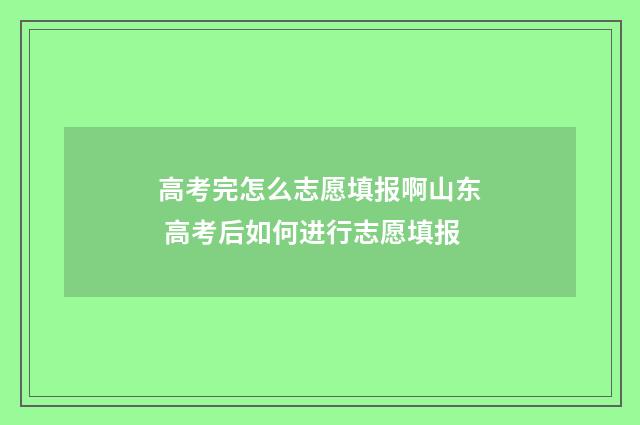 高考完怎么志愿填报啊山东 高考后如何进行志愿填报