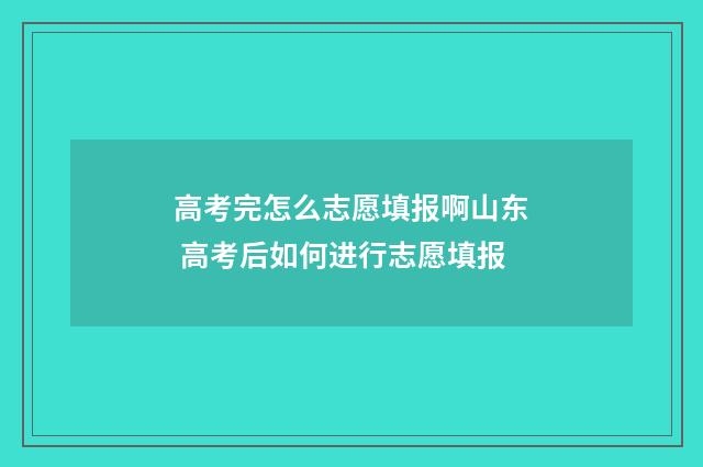 高考完怎么志愿填报啊山东 高考后如何进行志愿填报