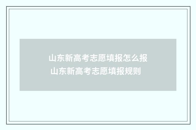 山东新高考志愿填报怎么报 山东新高考志愿填报规则