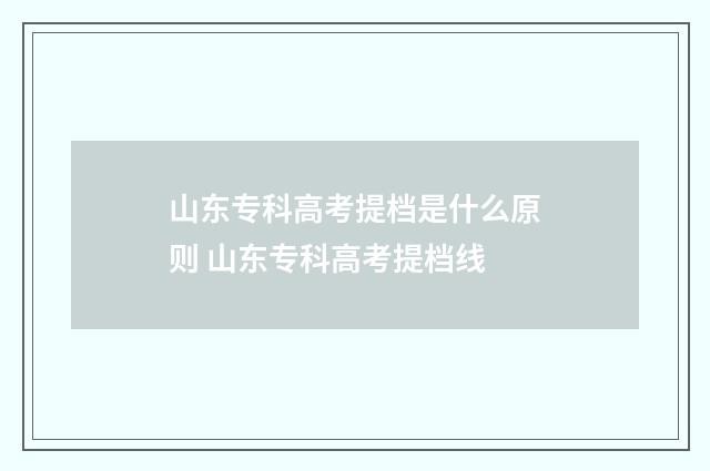 山东专科高考提档是什么原则 山东专科高考提档线