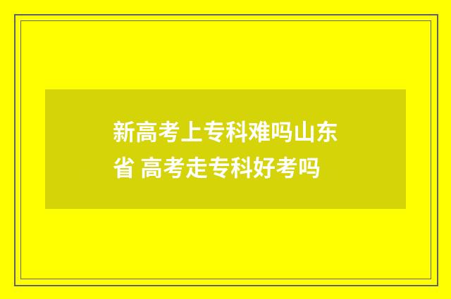 新高考上专科难吗山东省 高考走专科好考吗