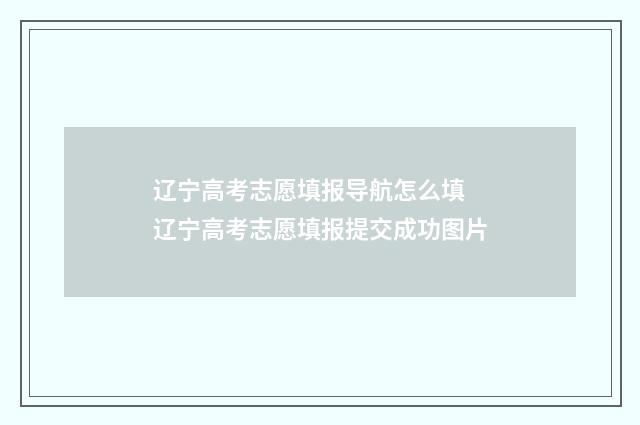 辽宁高考志愿填报导航怎么填 辽宁高考志愿填报提交成功图片