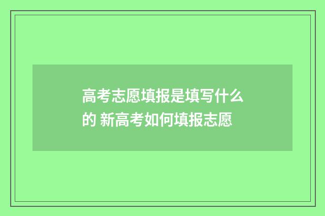 高考志愿填报是填写什么的 新高考如何填报志愿