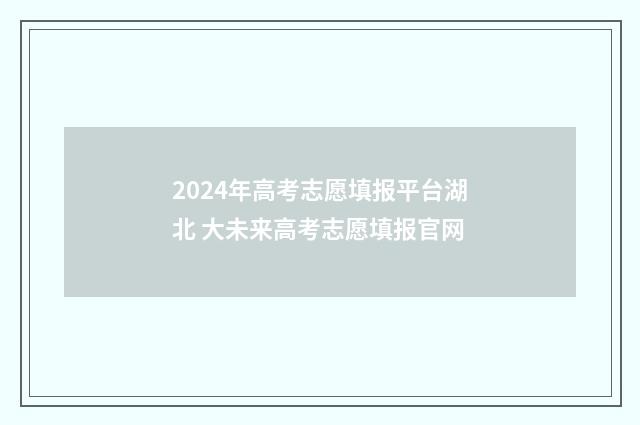 2024年高考志愿填报平台湖北 大未来高考志愿填报官网