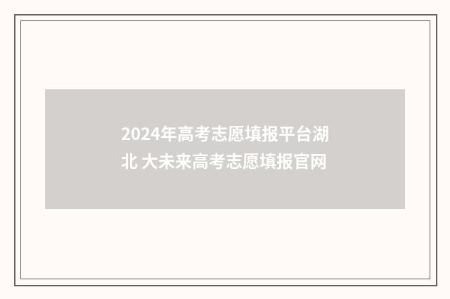 2024年高考志愿填报平台湖北 大未来高考志愿填报官网