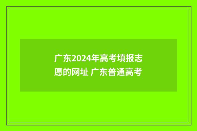 广东2024年高考填报志愿的网址 广东普通高考