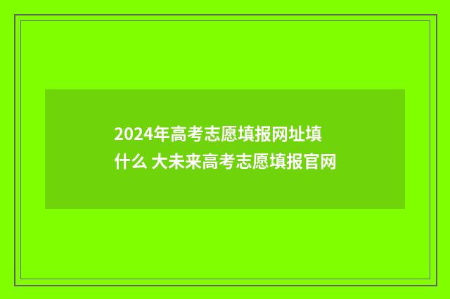 2024年高考志愿填报网址填什么 大未来高考志愿填报官网