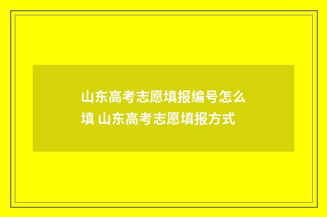 山东高考志愿填报编号怎么填 山东高考志愿填报方式