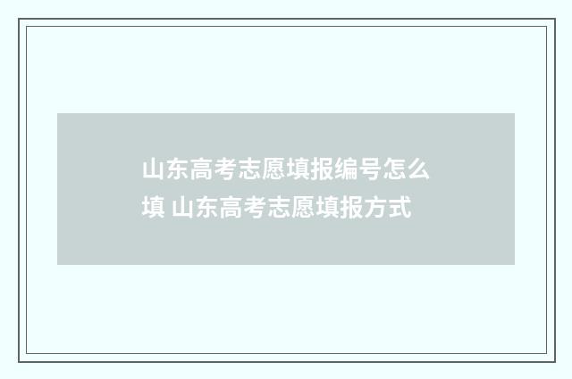 山东高考志愿填报编号怎么填 山东高考志愿填报方式