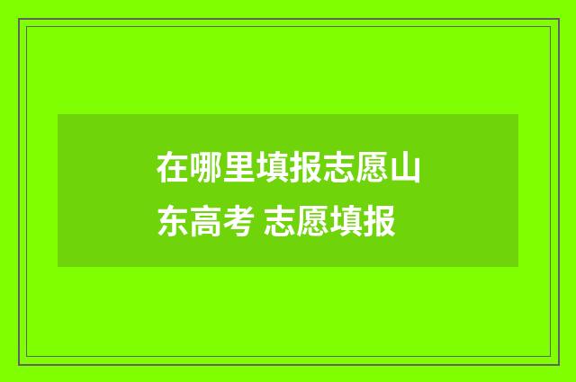 在哪里填报志愿山东高考 志愿填报