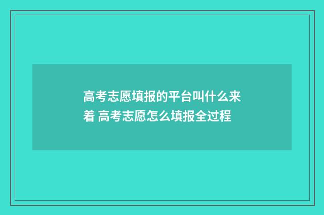 高考志愿填报的平台叫什么来着 高考志愿怎么填报全过程
