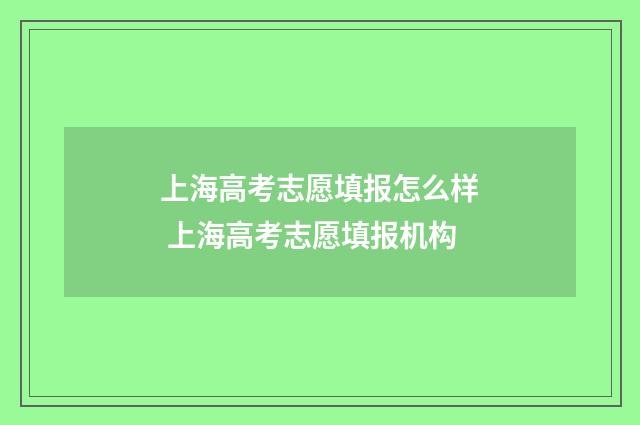上海高考志愿填报怎么样 上海高考志愿填报机构