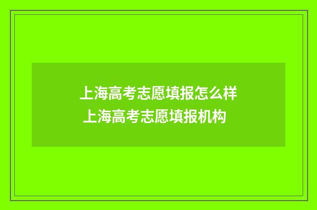 上海高考志愿填报怎么样 上海高考志愿填报机构