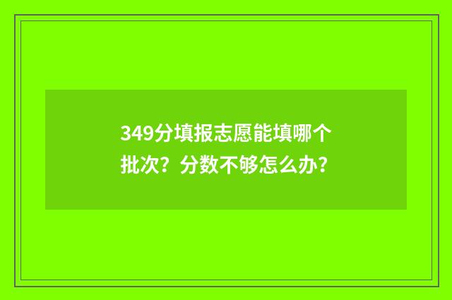 349分填报志愿能填哪个批次？分数不够怎么办？
