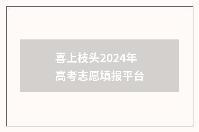 喜上枝头2024年高考志愿填报平台
