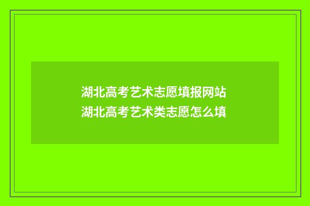 湖北高考艺术志愿填报网站 湖北高考艺术类志愿怎么填