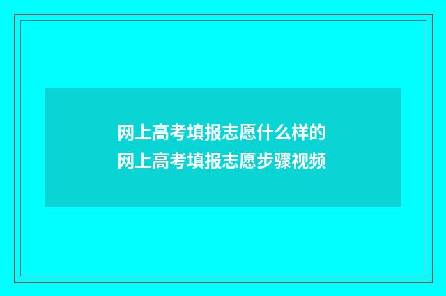 网上高考填报志愿什么样的 网上高考填报志愿步骤视频