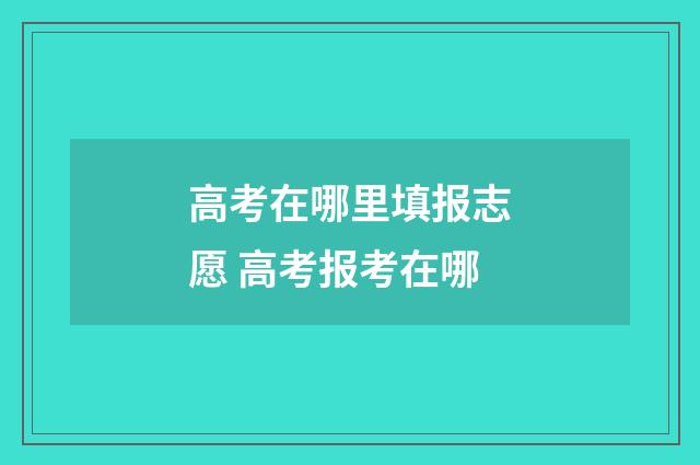 高考在哪里填报志愿 高考报考在哪