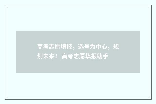 高考志愿填报，选号为中心，规划未来！ 高考志愿填报助手