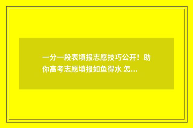 一分一段表填报志愿技巧公开！助你高考志愿填报如鱼得水 怎么使用一分一段表报考学校