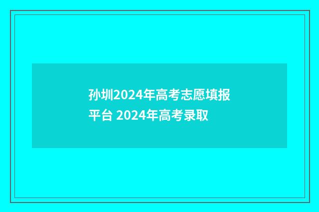 孙圳2024年高考志愿填报平台 2024年高考录取