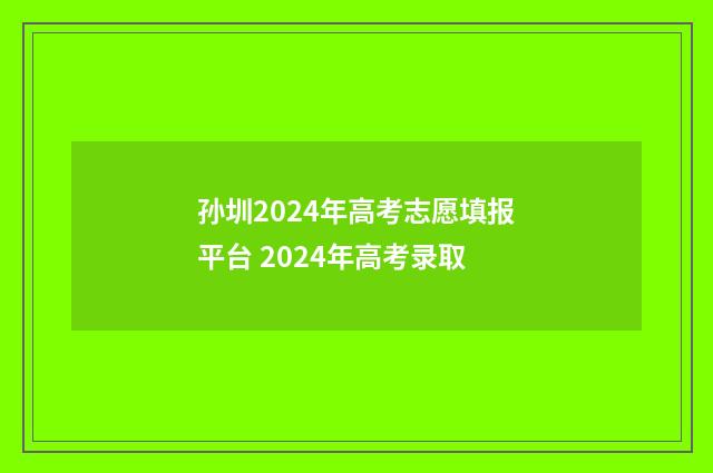 孙圳2024年高考志愿填报平台 2024年高考录取