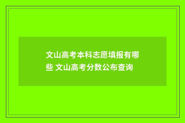 文山高考本科志愿填报有哪些 文山高考分数公布查询