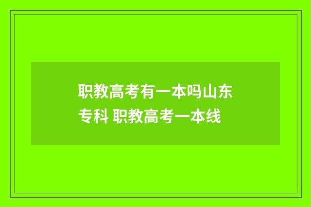 职教高考有一本吗山东专科 职教高考一本线