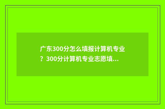 广东300分怎么填报计算机专业？300分计算机专业志愿填报指南 广东高考分数300多分能上什么学校