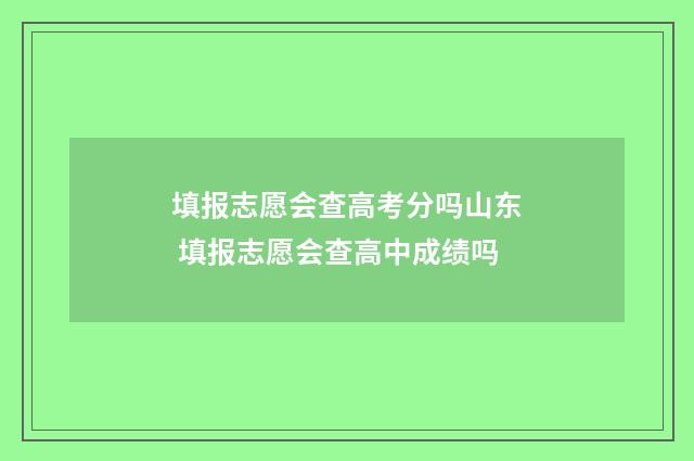 填报志愿会查高考分吗山东 填报志愿会查高中成绩吗