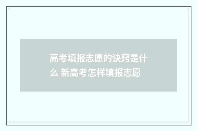 高考填报志愿的诀窍是什么 新高考怎样填报志愿