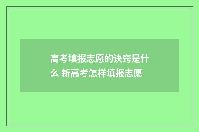 高考填报志愿的诀窍是什么 新高考怎样填报志愿