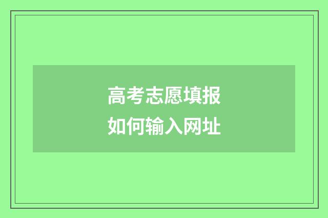 高考志愿填报如何输入网址