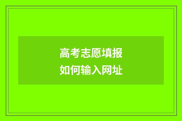 高考志愿填报如何输入网址