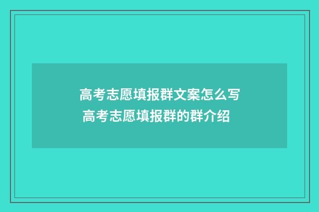 高考志愿填报群文案怎么写 高考志愿填报群的群介绍