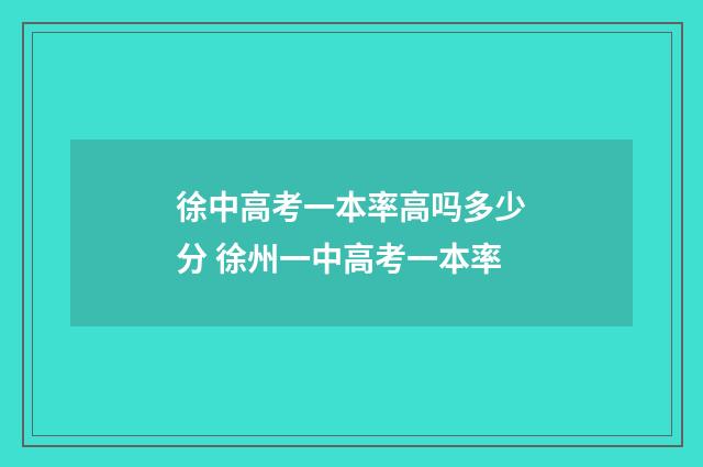 徐中高考一本率高吗多少分 徐州一中高考一本率
