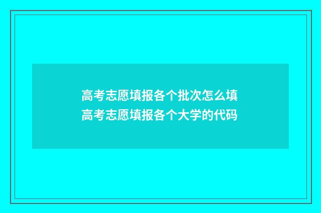 高考志愿填报各个批次怎么填 高考志愿填报各个大学的代码