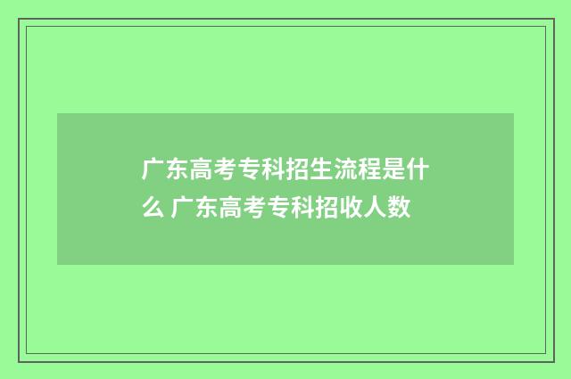 广东高考专科招生流程是什么 广东高考专科招收人数