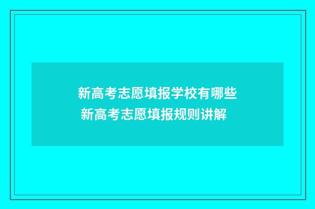 新高考志愿填报学校有哪些 新高考志愿填报规则讲解