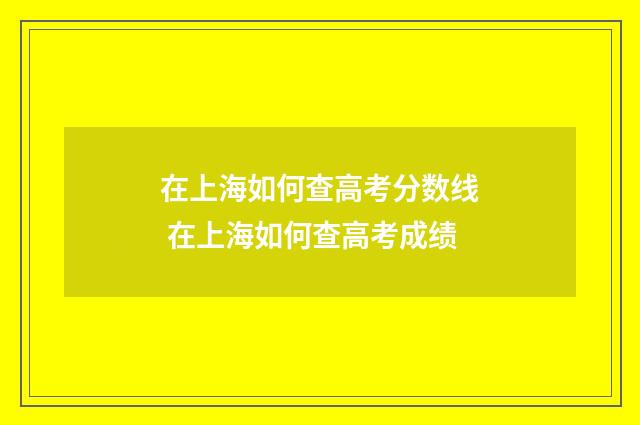 在上海如何查高考分数线 在上海如何查高考成绩