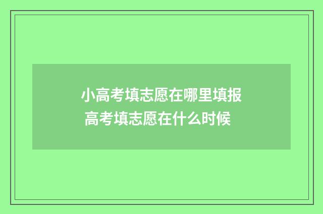小高考填志愿在哪里填报 高考填志愿在什么时候